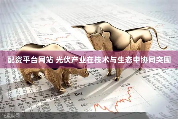 配资平台网站 光伏产业在技术与生态中协同突围
