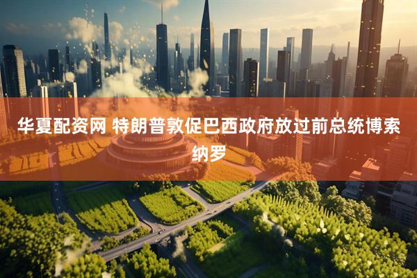 华夏配资网 特朗普敦促巴西政府放过前总统博索纳罗