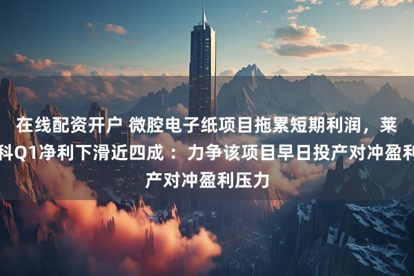 在线配资开户 微腔电子纸项目拖累短期利润，莱宝高科Q1净利下滑近四成 ：力争该项目早日投产对冲盈利压力