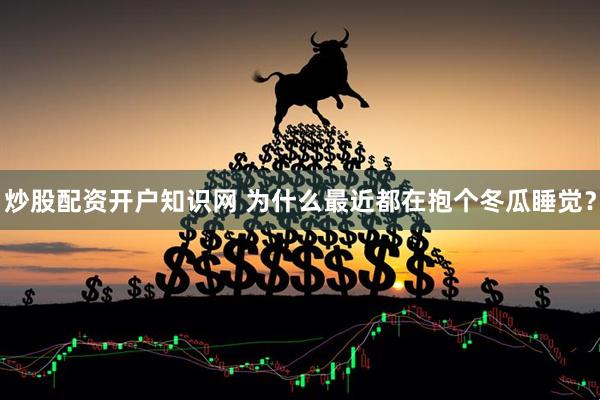 炒股配资开户知识网 为什么最近都在抱个冬瓜睡觉？